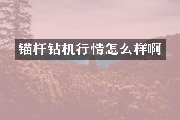 錨桿鉆機(jī)行情怎么樣啊