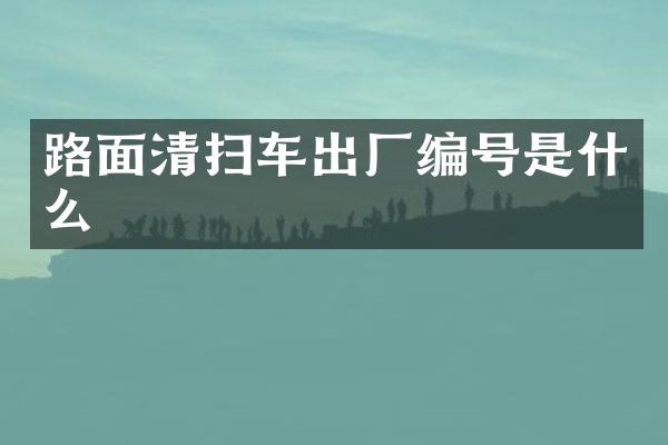 路面清掃車出廠編號是什么