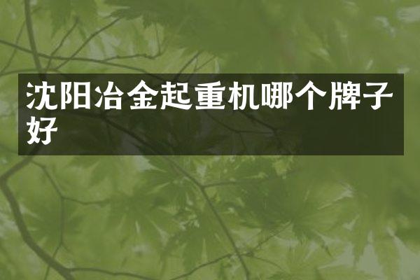 沈陽冶金起重機哪個牌子好