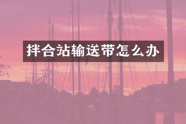 拌合站輸送帶怎么辦