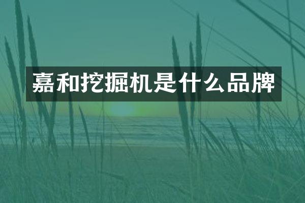 嘉和挖掘機(jī)是什么品牌