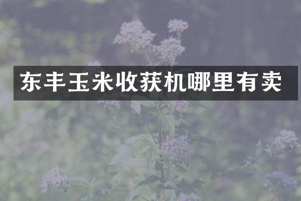 東豐玉米收獲機(jī)哪里有賣