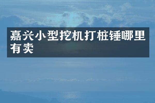 嘉兴小型挖机打桩锤哪里有卖