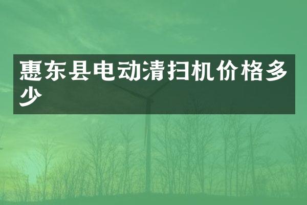 惠東縣電動清掃機價格多少