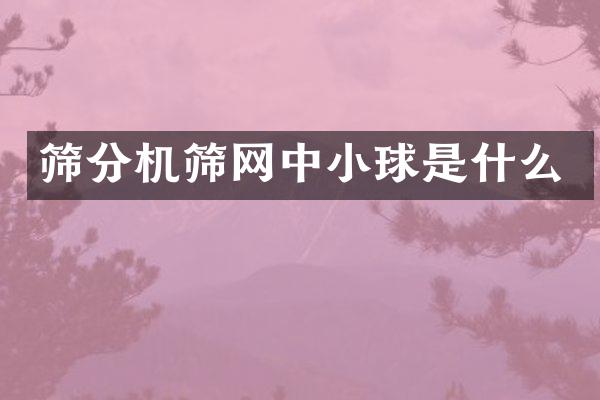 篩分機篩網(wǎng)中小球是什么