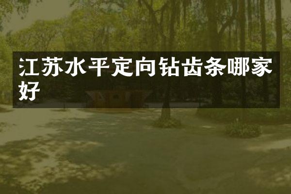 江蘇水平定向鉆齒條哪家好