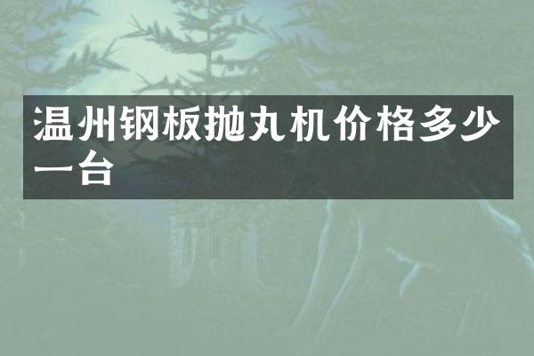 溫州鋼板拋丸機價格多少一臺