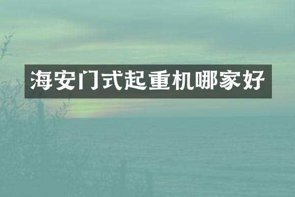 海安門式起重機(jī)哪家好