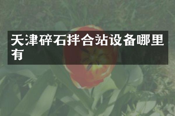 天津碎石拌合站設(shè)備哪里有