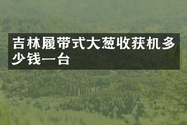 吉林履帶式大蔥收獲機(jī)多少錢一臺(tái)