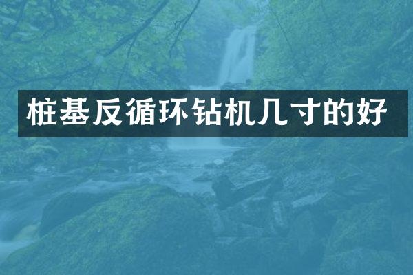 樁基反循環(huán)鉆機幾寸的好