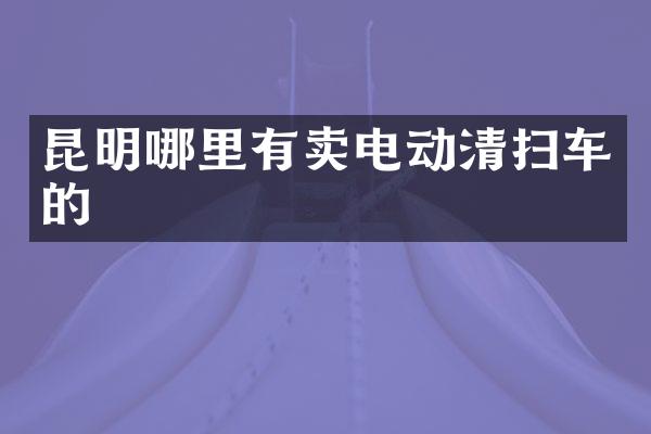 昆明哪里有賣電動清掃車的