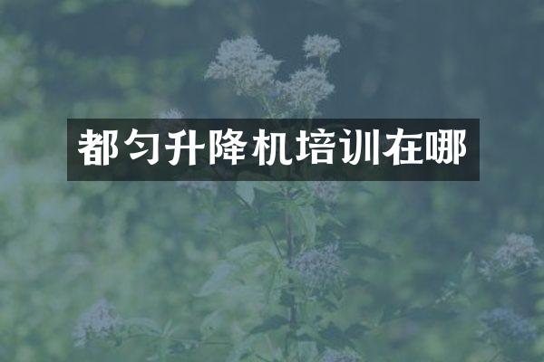 都勻升降機(jī)培訓(xùn)在哪