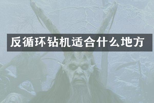 反循環(huán)鉆機(jī)適合什么地方