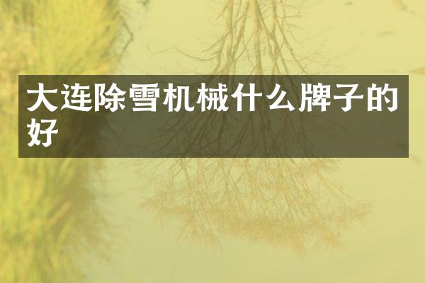 大連除雪機(jī)械什么牌子的好