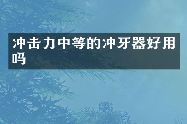 沖擊力中等的沖牙器好用嗎