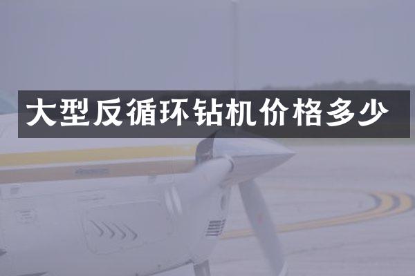 大型反循環(huán)鉆機價格多少