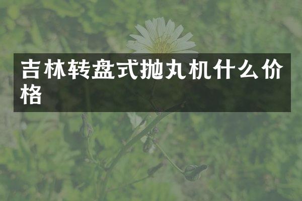 吉林轉(zhuǎn)盤式拋丸機(jī)什么價格