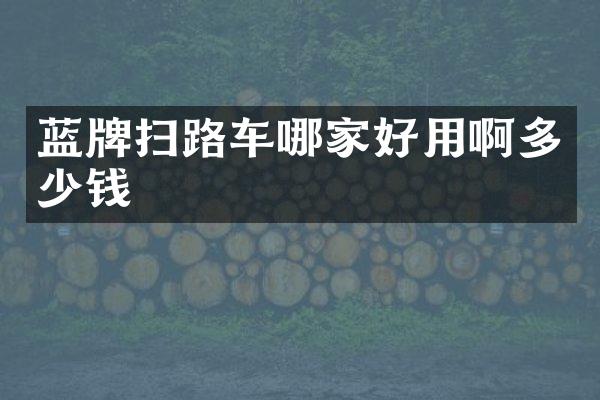 藍牌掃路車哪家好用啊多少錢