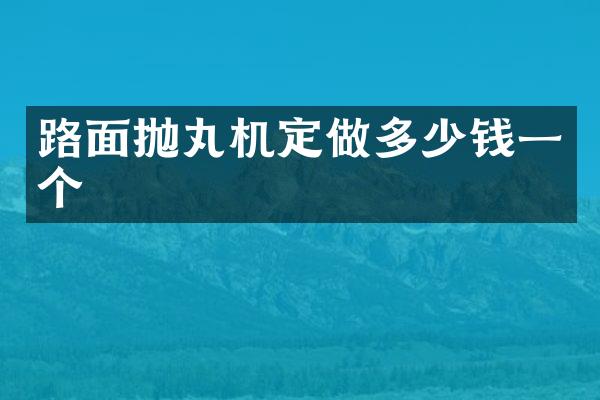 路面拋丸機定做多少錢一個