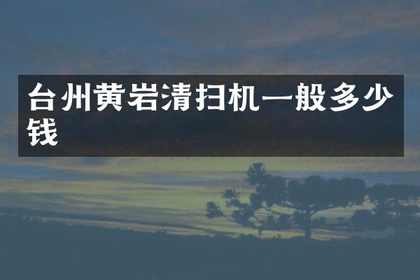 臺(tái)州黃巖清掃機(jī)一般多少錢