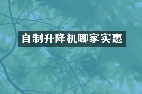 自制升降機哪家實惠