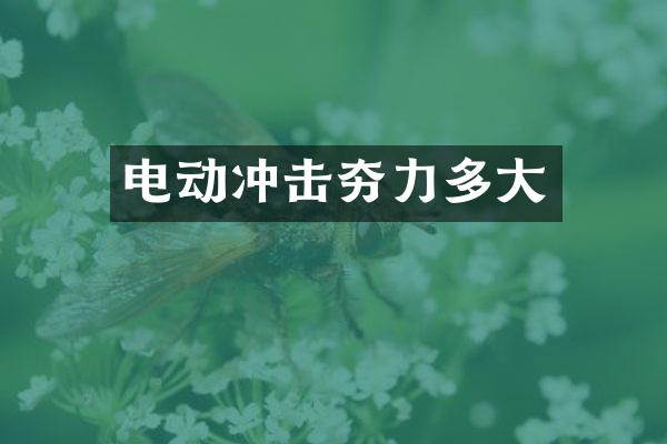 電動沖擊夯力多大