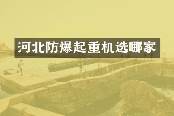 河北防爆起重機(jī)選哪家