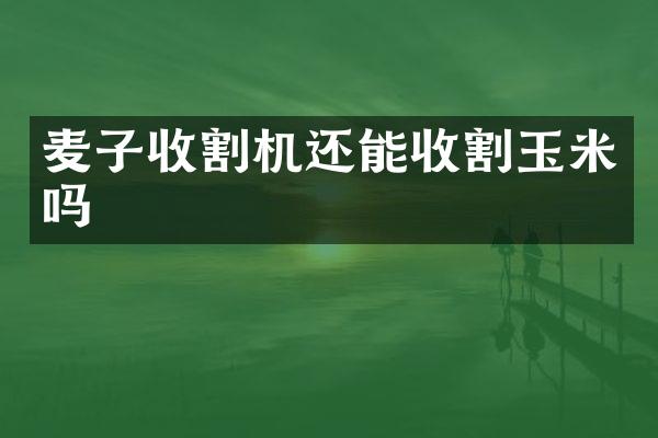 麥子收割機還能收割玉米嗎