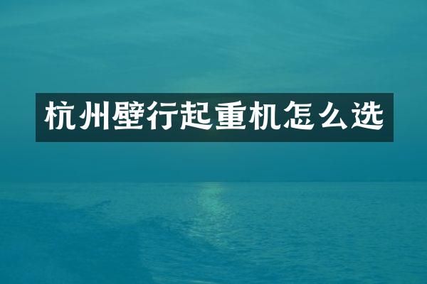 杭州壁行起重機怎么選