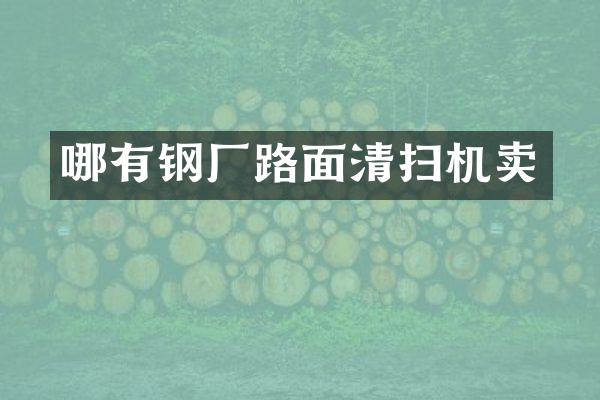 哪有鋼廠路面清掃機(jī)賣