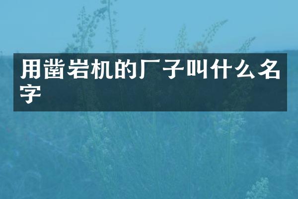 用鑿巖機的廠子叫什么名字