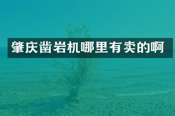 肇慶鑿巖機(jī)哪里有賣的啊