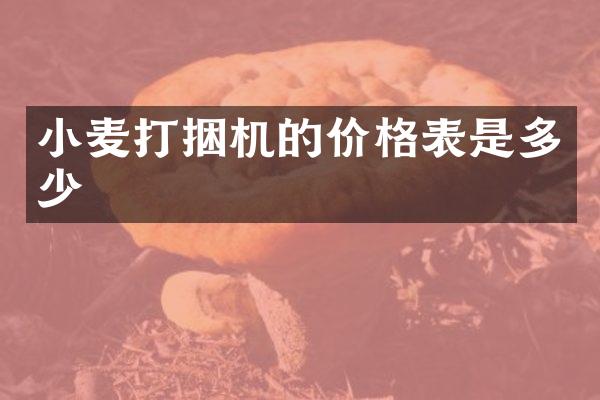 小麥打捆機的價格表是多少