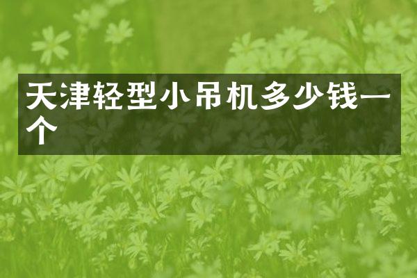 天津輕型小吊機多少錢一個