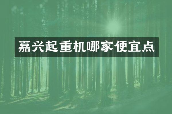 嘉興起重機哪家便宜點