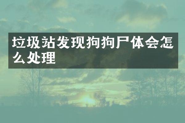 垃圾站發(fā)現(xiàn)狗狗尸體會怎么處理