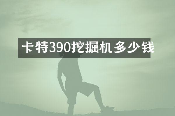 卡特390挖掘機(jī)多少錢(qián)