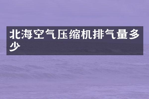 北海空氣壓縮機排氣量多少