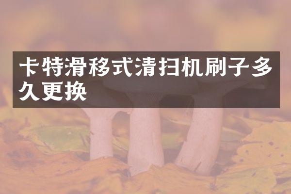 卡特滑移式清掃機刷子多久更換