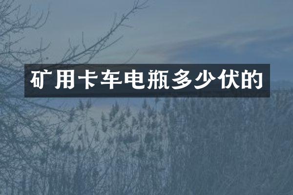 礦用卡車電瓶多少伏的