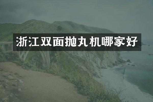 浙江双面抛丸机哪家好