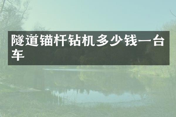 隧道锚杆钻机多少钱一台车