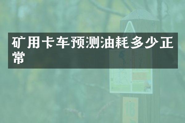 礦用卡車預(yù)測油耗多少正常