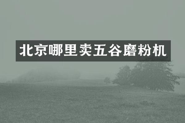 北京哪里卖五谷磨粉机
