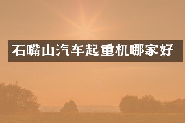 石嘴山汽车起重机哪家好