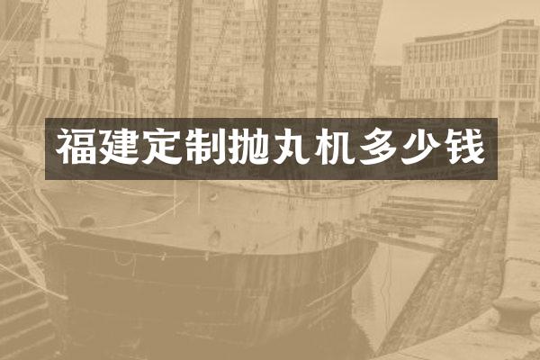 福建定制拋丸機(jī)多少錢