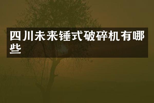 四川未來錘式破碎機(jī)有哪些