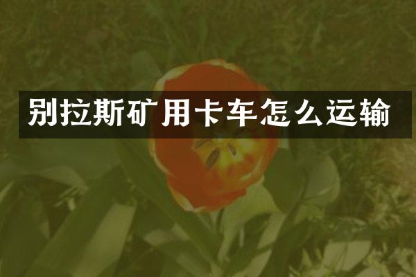 別拉斯礦用卡車怎么運輸