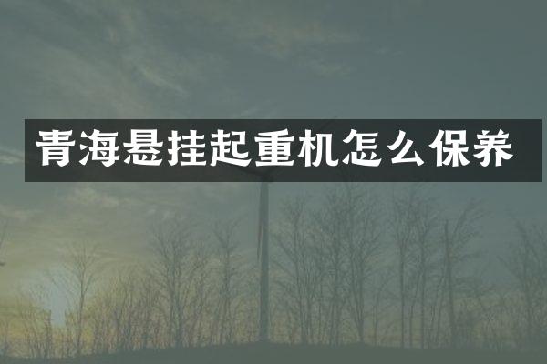 青海懸掛起重機怎么保養(yǎng)